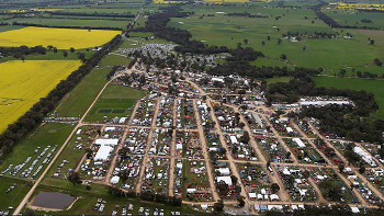 Henty field days